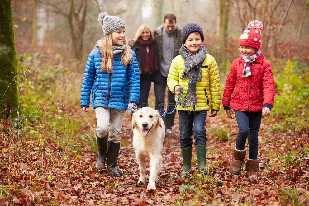 Familia caminando con su perro por el bosque